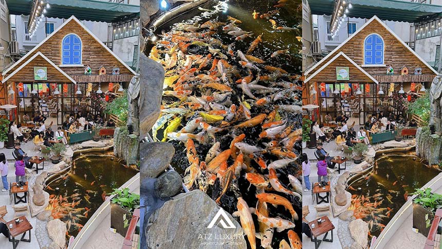 các mẫu thiết kế quán cafe cá Koi đẹp