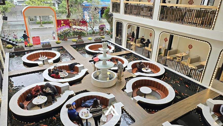 mẫu thiết kế quán cà phê cá Koi