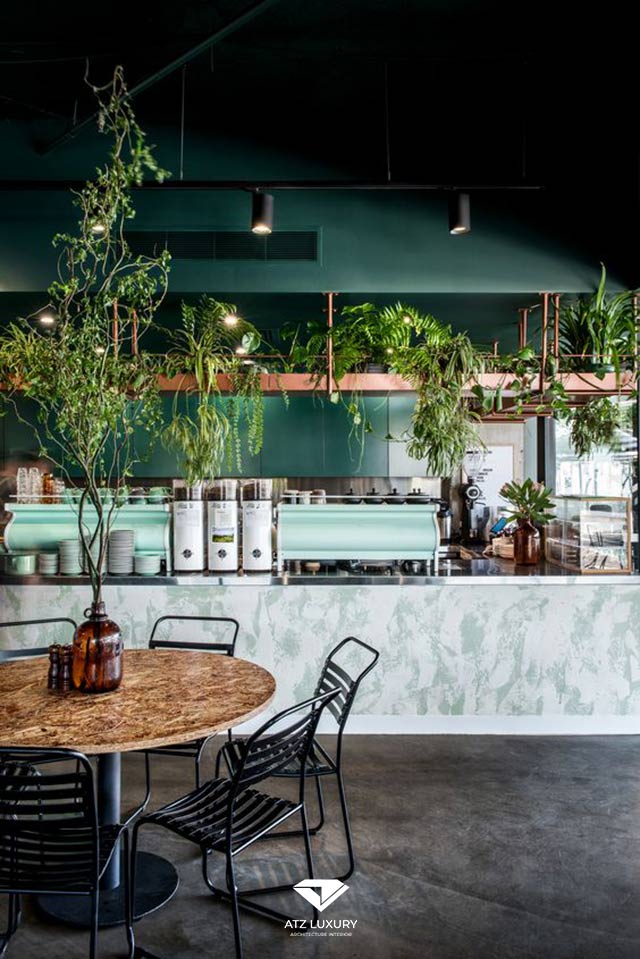 thiết kế quán cafe cây xanh