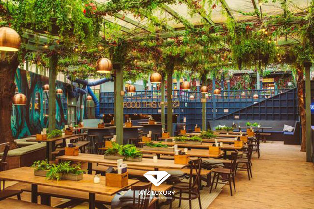 thiet ke quan cafe cay xanh cafe san