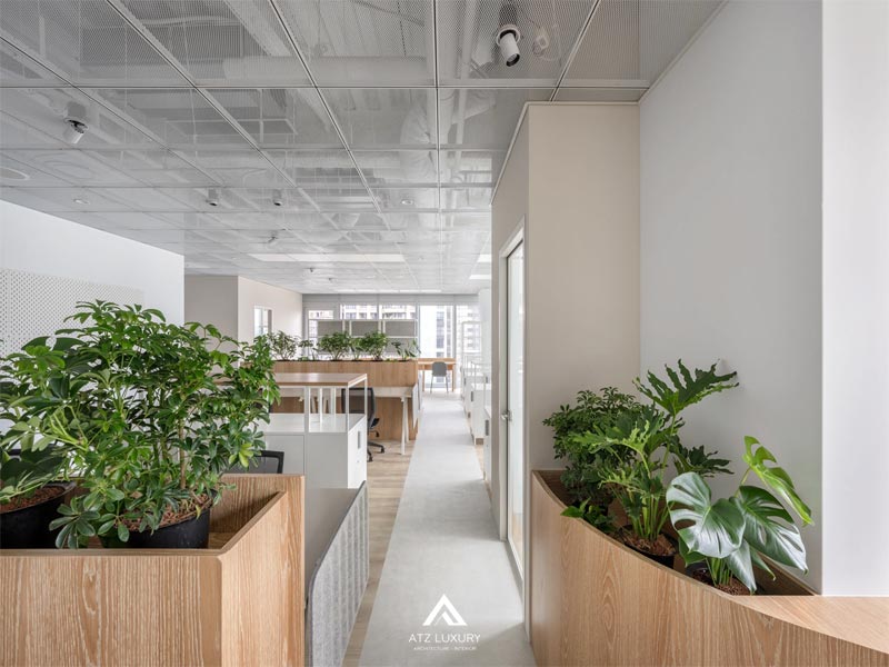 cai tao van phong 13