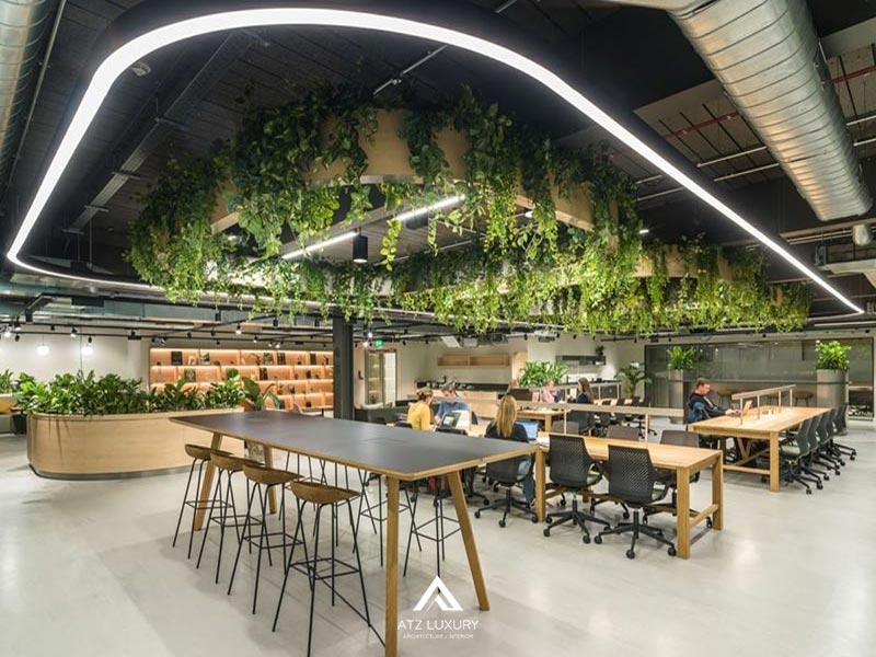 van phong xanh la gi 10