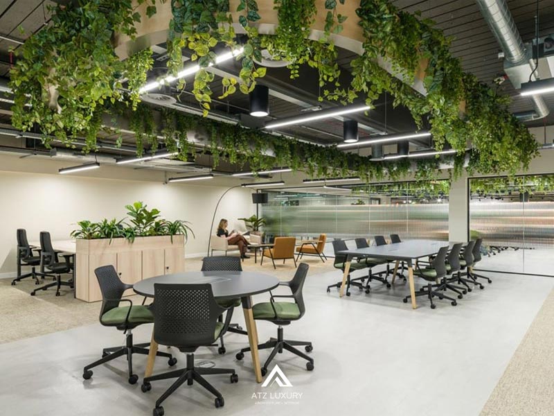 van phong xanh la gi 12