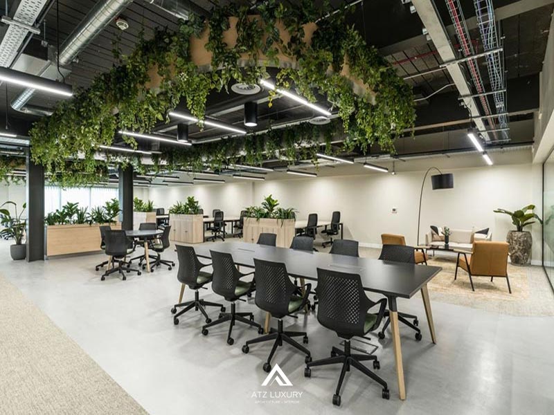 van phong xanh la gi 9