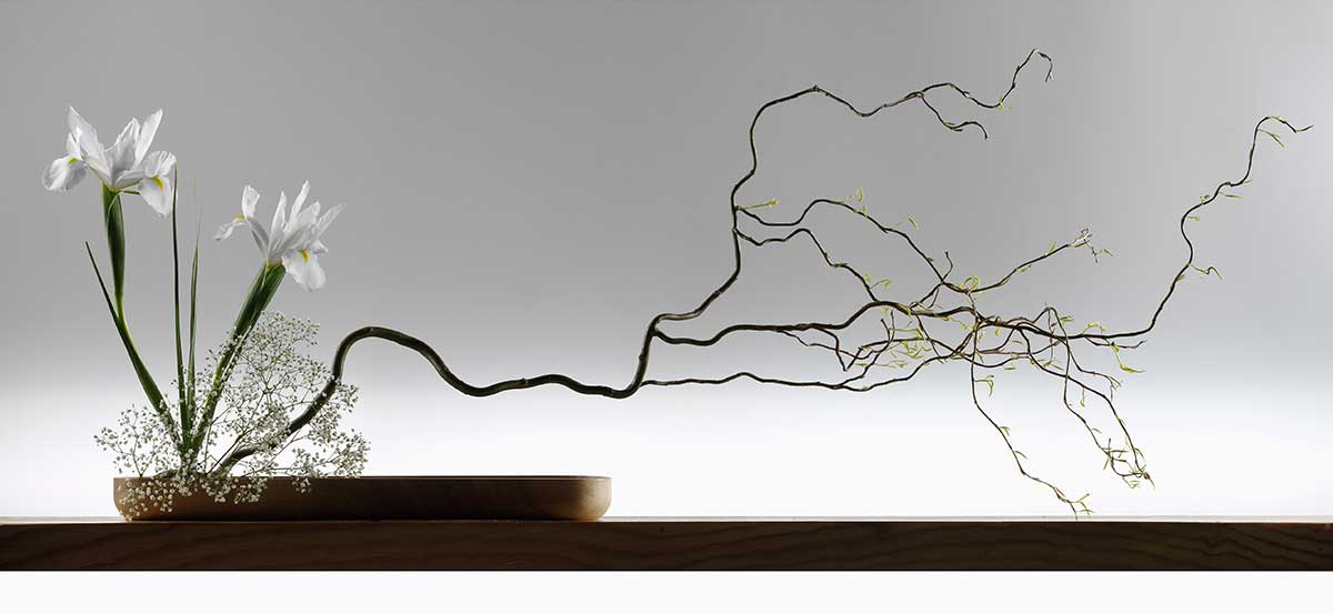 binh hoa Ikebana