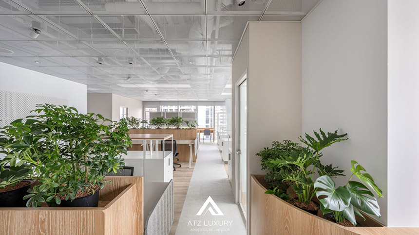 mẫu thiết kế nội thất văn phòng 100m2